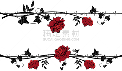 带刺铁丝网,玫瑰,白色,华丽的,红色,常春藤,分割,布置,奋斗