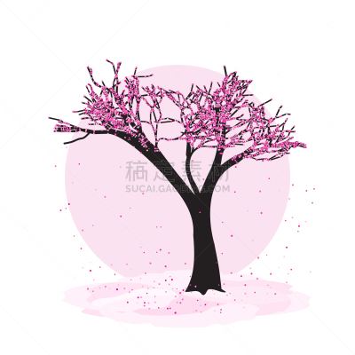 分离着色,白色,自然,季节,粉色,图像,花朵,樱桃,花,树