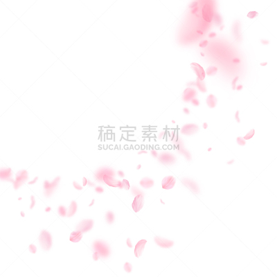 浪漫,粉色,花瓣,樱之花,仅一朵花,请柬,清新,风,落下,爱