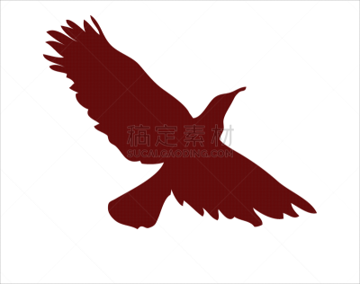 鸟类,旅途,野生动物,翅膀,动物,春天,户外,飞,剪影