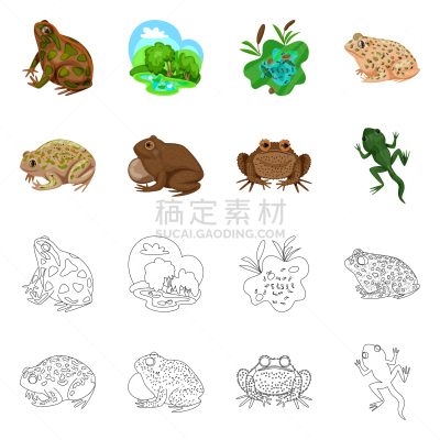 野生动物,藓沼,符号,生物学,有毒物质,环境,青蛙,草,设计,布置