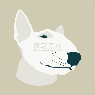 纯种犬,狗,牛头梗,可爱的,梗犬,肖像,动物牙齿,哺乳纲,英格兰