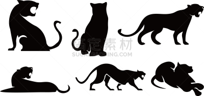 动作,美洲豹,虎,图像,矢量,摆拍,动物,剪影,站,步行