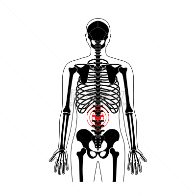 绘画插图,矢量,痛苦,脊柱,健康保健,背景分离,骷髅图,按摩师,脖子,人类骨架