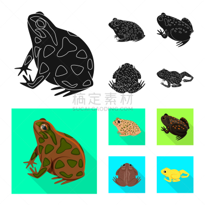 野生动物,标志,藓沼,生物学,有毒物质,灰色,青蛙,动物,收集,设计