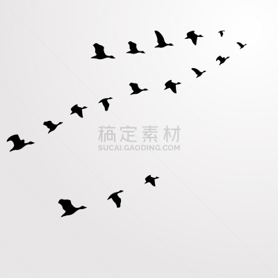 鸟编队飞行,羊群,白色,图像,天气,水滴,鸟类,暴风雨,剪影,飞