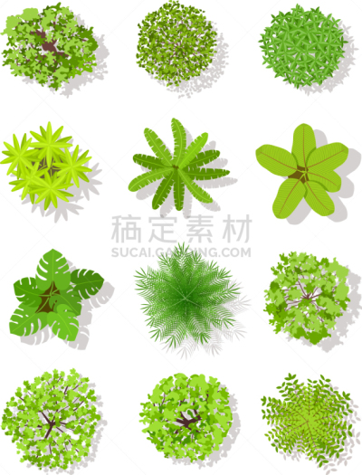 叶子,地形,风景,计划书,顶部,摆拍,蓝图,公园,树