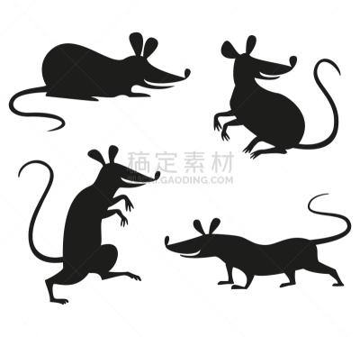 鼠,老鼠,可爱的,传统,2020,背景分离,春节,新年前夕,哺乳纲,动物