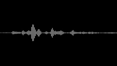 调制音频N&B