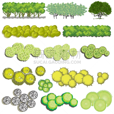 植物群,建筑,反差,鸡尾酒,自然,景观设计,公园,叶子,树,布置