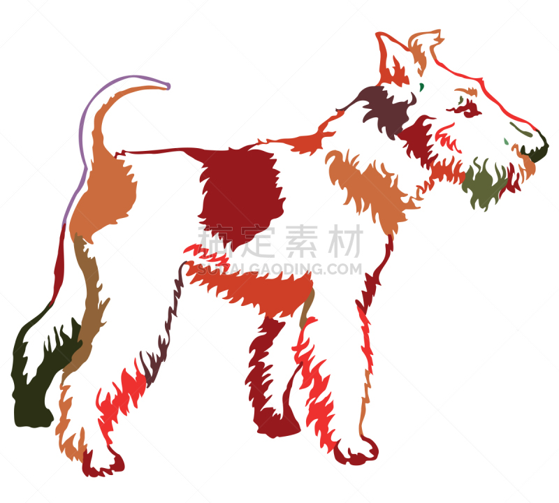 福克斯猎狐犬,狗,绘画插图,多色的,矢量,注视镜头,华丽的,纯种犬,背景分离,站