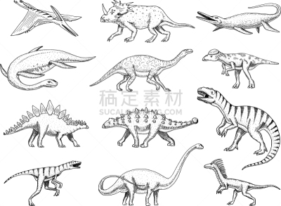 三角龙,霸王龙,恐龙,分离着色,可爱的,白色,自然,图像,布置,收集