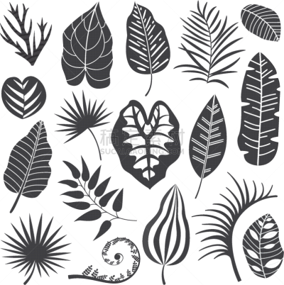 鸡尾酒,叶子,华丽的,复叶,纺织品,植物群,植物,收集,布置,剪影