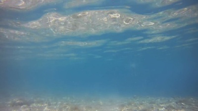   浮潜时对着相机挥手