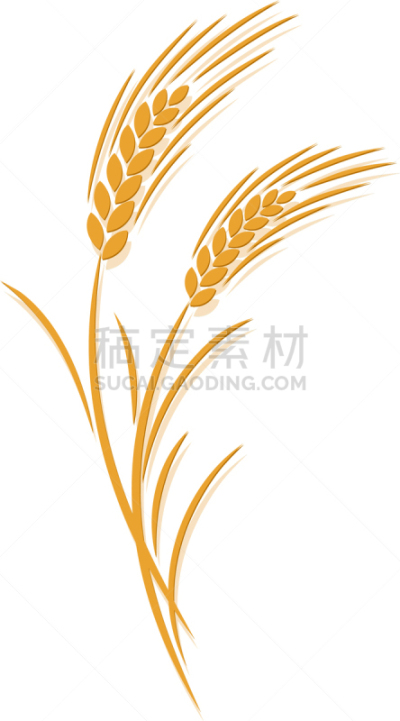 图标,小麦,农业,农场,品牌名称,矢量,植物,面包,食品,图像