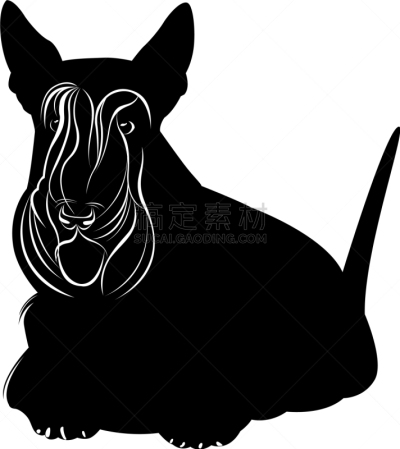 梗犬,威士忌,小胡子,形状,白色,黑色,可爱的,自然美,自然,宠物