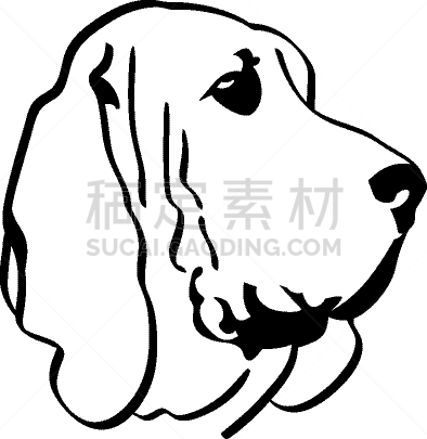 狗,纯血猎犬,矢量,图像