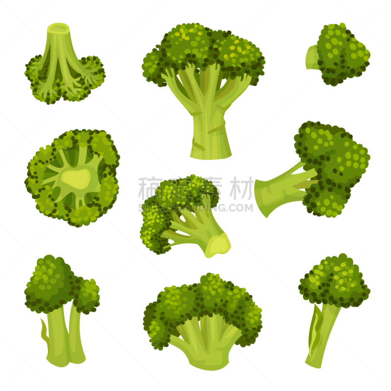 broccoli set vegetable from different