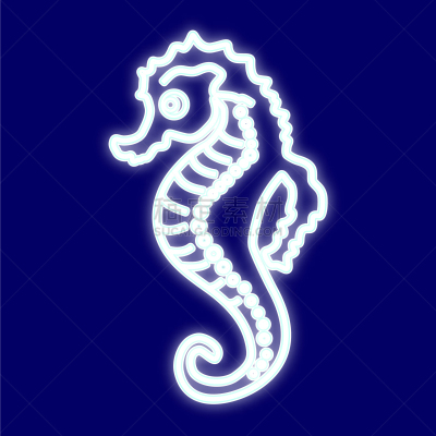 海马,图像,白色,鸡尾酒,自然,霓虹灯,海洋,自然美,动物