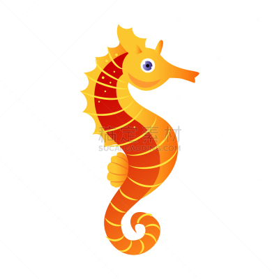 海马,色彩鲜艳,海洋生命,可爱的,鸡尾酒,自然,野生动物,图像,海洋,动物