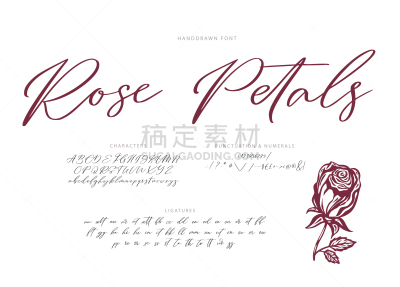 矢量,手,字体,玫瑰,背景分离,字母,信函,复古风格,现代,涂料