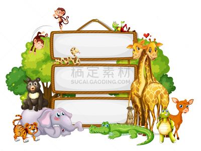 可爱的,动物主题,国境线,式样,模板,活力,野生动物,环境,蛇,猿
