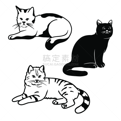 可爱的,绘画插图,猫,矢量,分离着色,白色背景,个性,背景分离,多样,简单