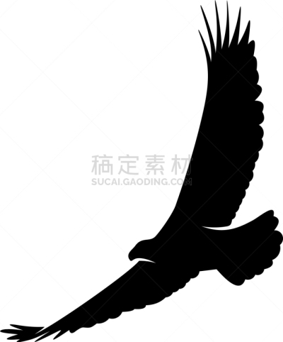 模板,品牌名称,鹰,国内著名景点,运动,野生动物,翅膀,设计