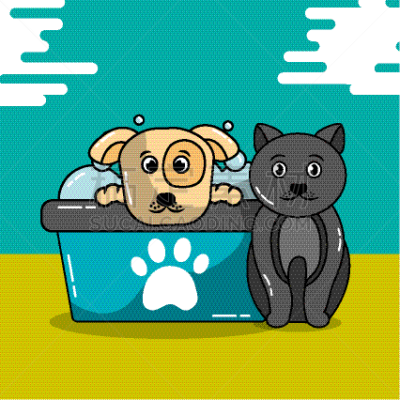 狗,宠物,猫,可爱的,湿,头发,动物,蜘蛛网,犬科的,小狗
