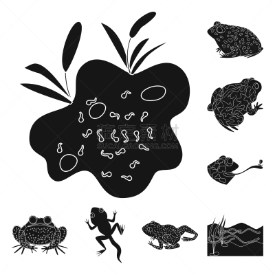 动物,爬行纲,计算机图标,生物学,有毒物质,野生动物,环境,青蛙,草,设计