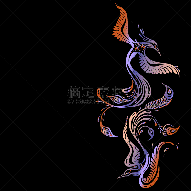 自然美,孔雀,热带鸟,孔雀羽毛,华丽的,摆拍,华贵,野生动物,婚礼,问候