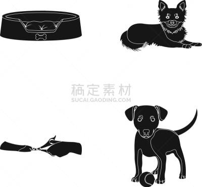 兽医,宠物,爪,黑色,垃圾,图像,矢量,分离着色,收集,教育