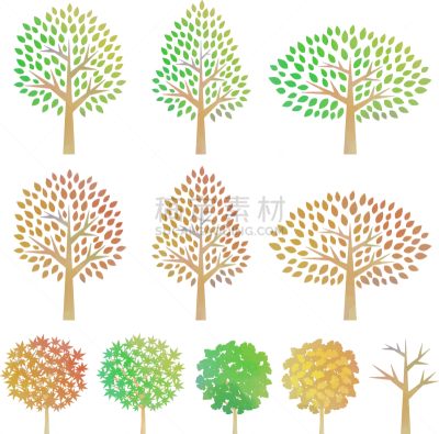 绘画插图,水彩画,水彩画颜料,背景分离,枝繁叶茂,枫叶,树干,植物,银杏树,夏天
