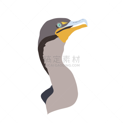 野生动物,鸬鹚,矢量,沼泽地国家公园,国家公园,热带气候,环境,柏树,佛罗里达,鹳