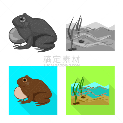 野生动物,分离着色,藓沼,品牌名称,一个物体,生物学,青蛙,池塘,草,动物