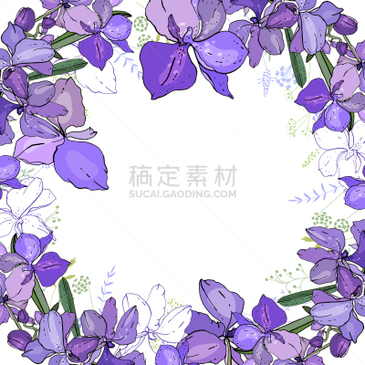 兰花,空白的,浪漫,模板,正方形,边框,白色,明信片,自然,问候