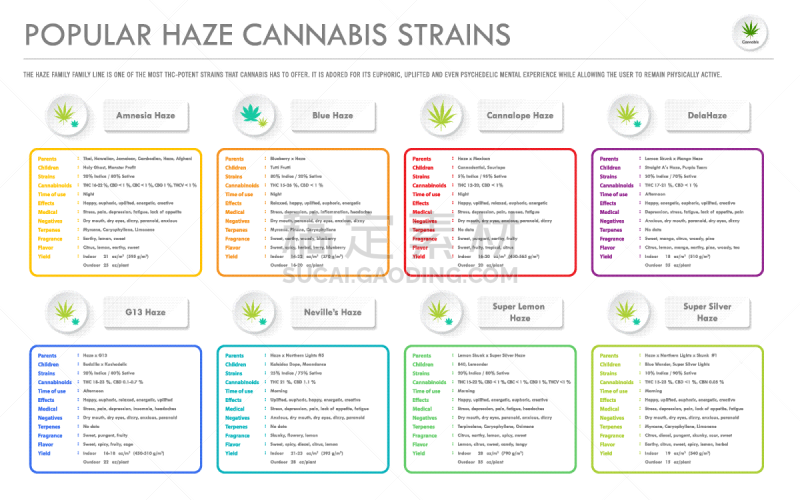 水平画幅,信息图表,雾,商务,活力,气候,比较,人的眼睛,高处