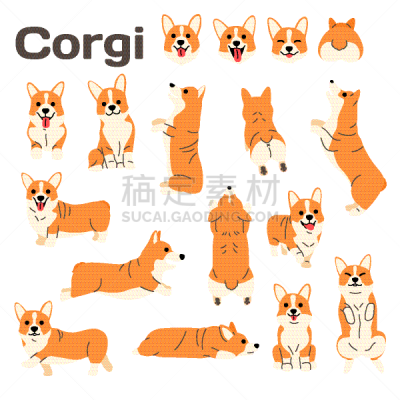 狗,动作,幸福,宠物,可爱的,纯种犬,家庭,收集,坐,睡觉