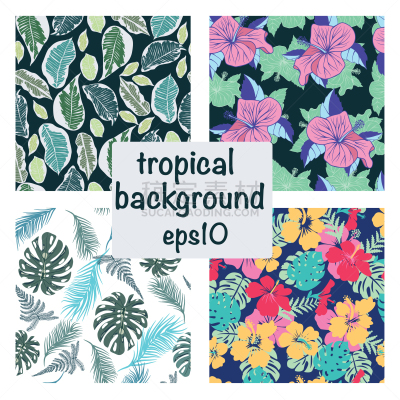 set tropical background exotic leaves and