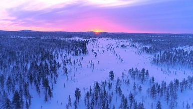 空中 冬季仙境中雪松林后的冬日落日