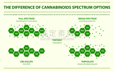 光谱色,水平画幅,与众不同,信息图表,脂肪细胞,植物,香熏油,心血管系统,人类消化系统