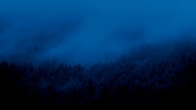 夜雾在森林上空飘动