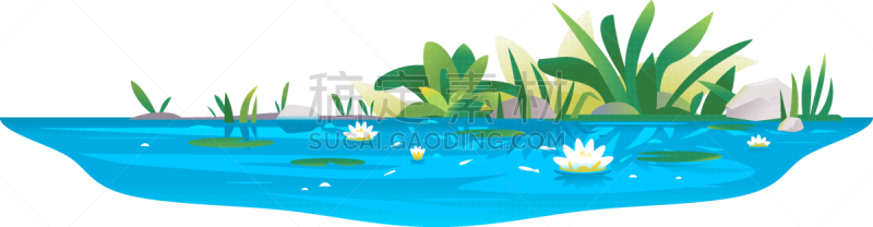 池塘,小的,水,睡莲,野生动物,植物群,香蒲,自然美,湖,流动