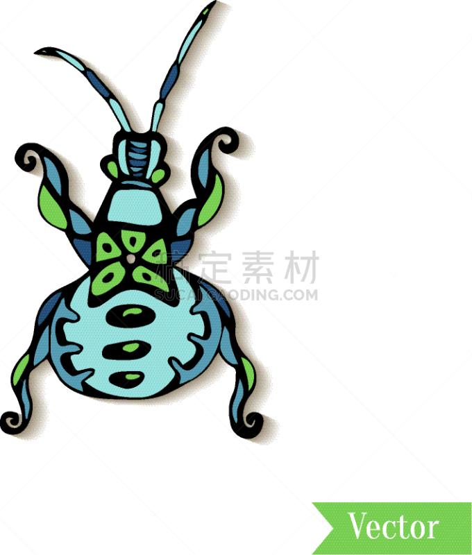 创造力,甲虫,昆虫,时尚,动物手,分离着色,华丽的,几何形状,绘制,装饰