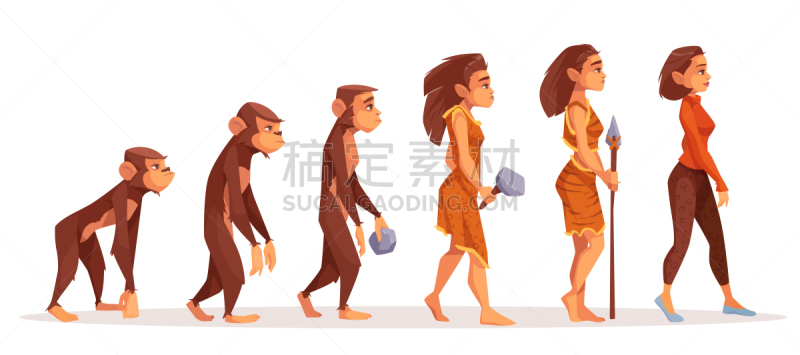 猴子,现代,女人,可爱的,在活动中,家谱,商务,波兰,背景分离,姿态优美