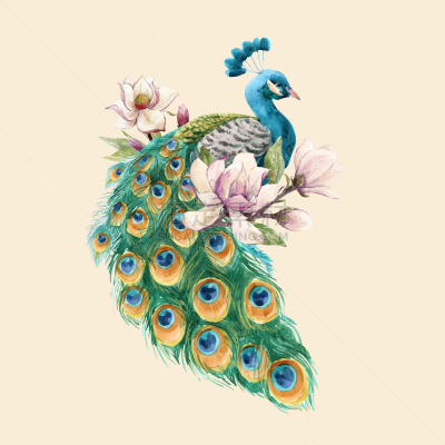 水彩画,孔雀,动物,春天,鸟类,艺术品,植物,复古,绘制,花