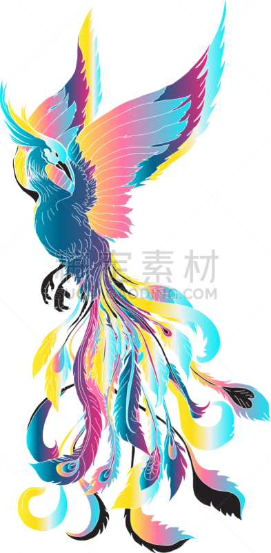 菲尼克斯市,鸟类,火,热,野生动物,翅膀