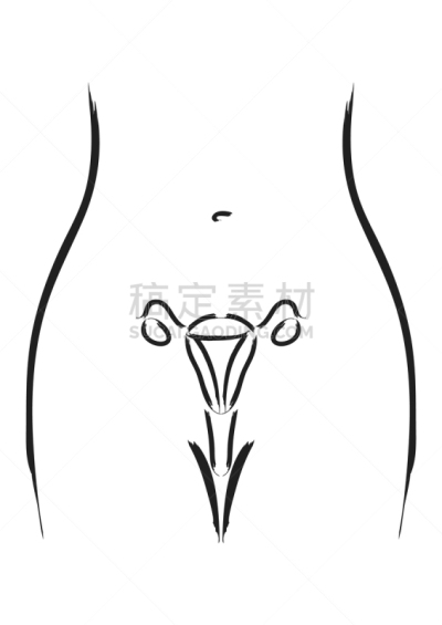 女性生殖系统,轮廓,健康保健,图像,女人,矢量,卵巢,子宫颈,绘制