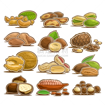 坚果,花生,插画,胡桃,食品,榛子树,堆,品牌名称,杏仁,巴西