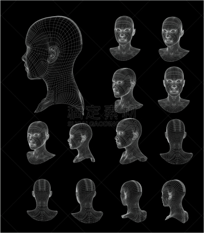接线框,三维图形,模型,人的头部,人,铁丝网,格子,人造的,性格,生物科技